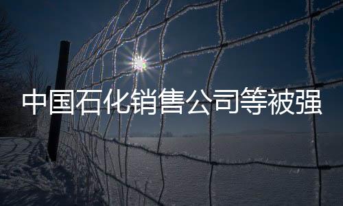 中國(guó)石化銷售公司等被強(qiáng)制執(zhí)行1.1億，深度解析事件背景與影響