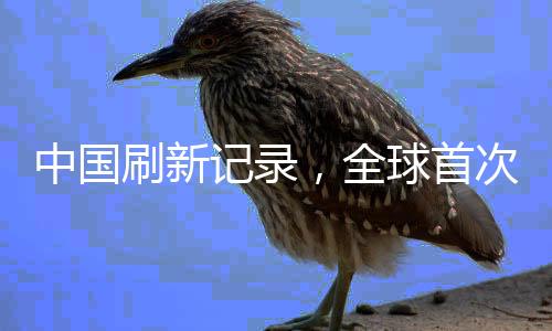 中國刷新記錄，全球首次地下萬米油氣探測成功