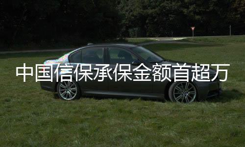 中國(guó)信保承保金額首超萬(wàn)億美元