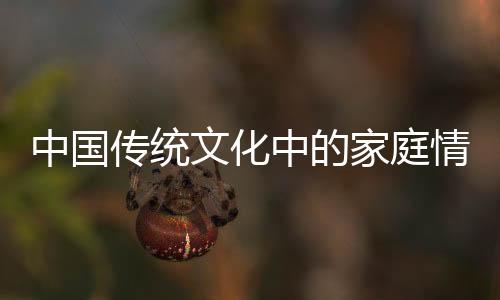 中國傳統(tǒng)文化中的家庭情懷，過年為什么要走親戚