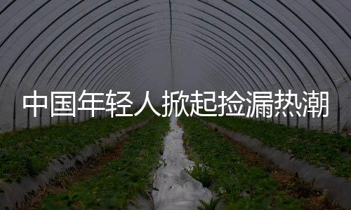 中國年輕人掀起撿漏熱潮，日本低價(jià)中古屋成新寵