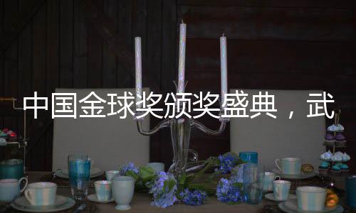 中國(guó)金球獎(jiǎng)?lì)C獎(jiǎng)盛典，武磊第五次榮耀當(dāng)選
