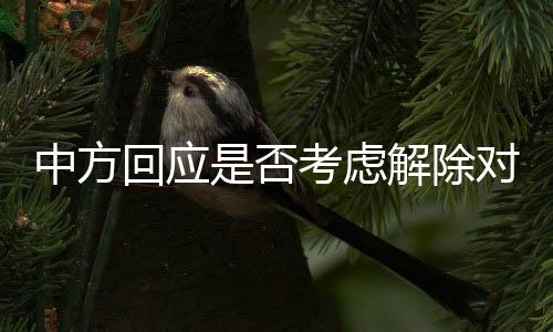 中方回應(yīng)是否考慮解除對魯比奧制裁