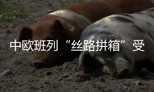 中歐班列“絲路拼箱”受青睞 長(zhǎng)沙新春首發(fā)班列啟程