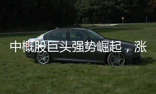 中概股巨頭強(qiáng)勢崛起，漲幅一度超過900%！