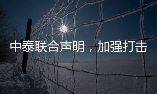 中泰聯(lián)合聲明，加強(qiáng)打擊人口販運(yùn)
