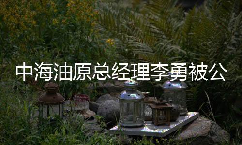 中海油原總經(jīng)理李勇被公訴，涉案細(xì)節(jié)深度解析