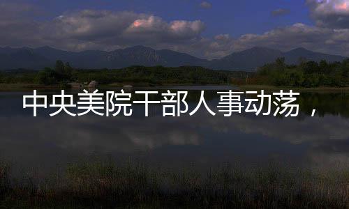 中央美院干部人事動蕩，兩名干部被調(diào)查，一人主動投案，內(nèi)部反腐力度加強