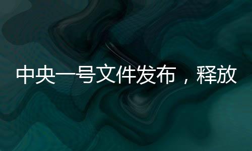 中央一號(hào)文件發(fā)布，釋放多重新信號(hào)，引領(lǐng)未來(lái)發(fā)展新方向