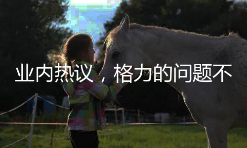 業(yè)內(nèi)熱議，格力的問(wèn)題不在于是否改名
