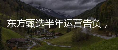 東方甄選半年運(yùn)營告負(fù)，虧損達(dá)9650.3萬元——挑戰(zhàn)與機(jī)遇并存的企業(yè)轉(zhuǎn)型之路
