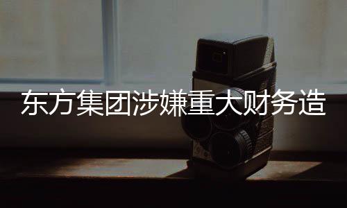 東方集團涉嫌重大財務造假，業(yè)界震驚調查進行中