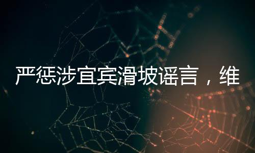 嚴(yán)懲涉宜賓滑坡謠言，維護(hù)社會(huì)公共秩序
