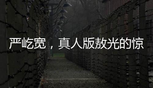 嚴(yán)屹寬，真人版敖光的驚艷呈現(xiàn)