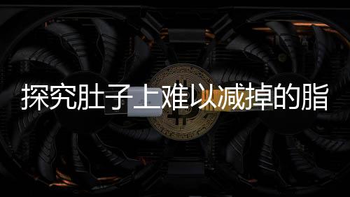 探究肚子上難以減掉的脂肪，成因與應(yīng)對之道