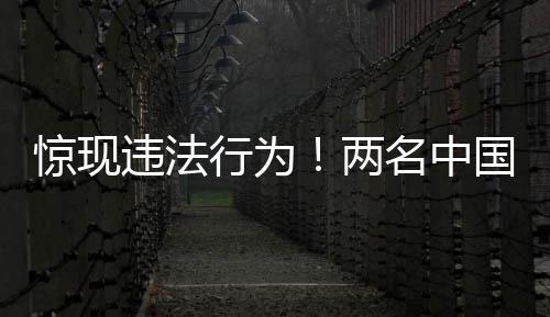 驚現(xiàn)違法行為！兩名中國男子夜?jié)擁n國寺廟偷骨灰事件調(diào)查報道