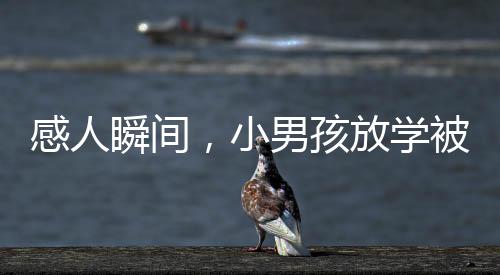 感人瞬間，小男孩放學(xué)被爸爸擁抱后的真情流露