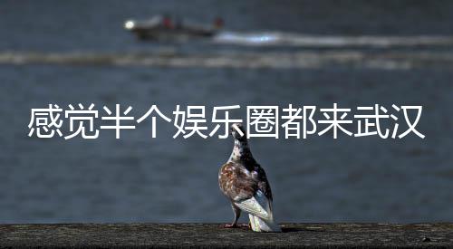 感覺半個(gè)娛樂圈都來武漢了