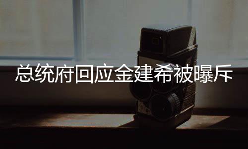 總統(tǒng)府回應(yīng)金建希被曝斥責(zé)警衛(wèi)處