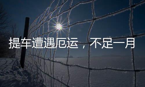 提車遭遇厄運，不足一月慘遭點燃一起探究事件的來龍去脈
