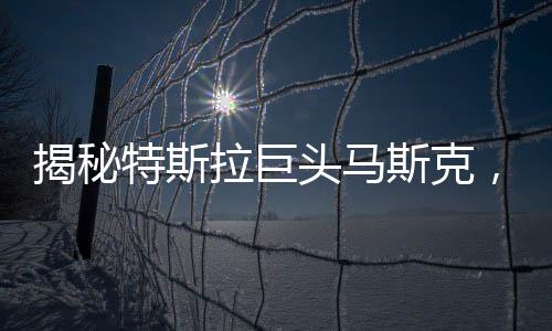 揭秘特斯拉巨頭馬斯克，資金來源巨額資金流向成謎
