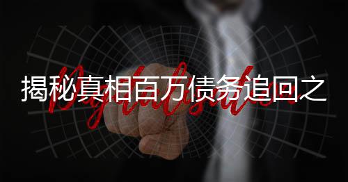 揭秘真相百萬(wàn)債務(wù)追回之路，繳稅背后的故事揭秘