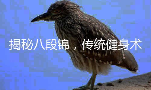 揭秘八段錦，傳統(tǒng)健身術(shù)的真實效用