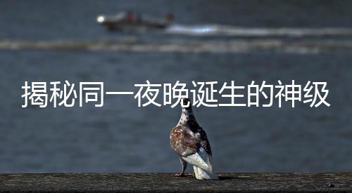 揭秘同一夜晚誕生的神級現場，神秘之夜喚醒無數驚艷時刻