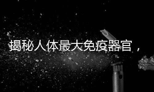 揭秘人體最大免疫器官，探索身體的守護者