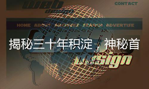 揭秘三十年積淀，神秘首富家族藏匿傳奇——暗涌十七載揭秘巨額財(cái)富背后的故事