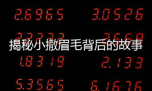 揭秘小撒眉毛背后的故事，誰(shuí)為他的魅力加分？