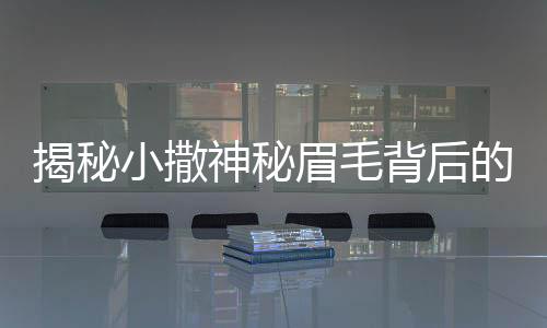 揭秘小撒神秘眉毛背后的故事，誰為小撒畫眉？