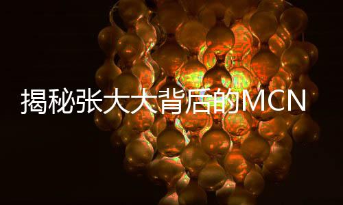 揭秘張大大背后的MCN公司
