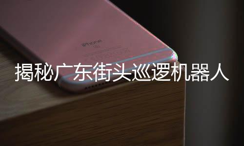 揭秘廣東街頭巡邏機(jī)器人的來歷
