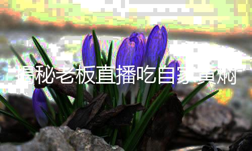 揭秘老板直播吃自家黃燜雞，以食為證，清白自在人心