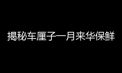 揭秘車?yán)遄右辉聛砣A保鮮秘訣，科技與供應(yīng)鏈的完美融合