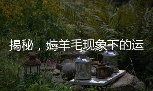 揭秘，薅羊毛現(xiàn)象下的運(yùn)費(fèi)險(xiǎn)亂象，涉案金額高達(dá)200多萬
