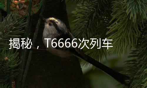 揭秘，T6666次列車真實(shí)存在，帶你領(lǐng)略獨(dú)特的列車之旅