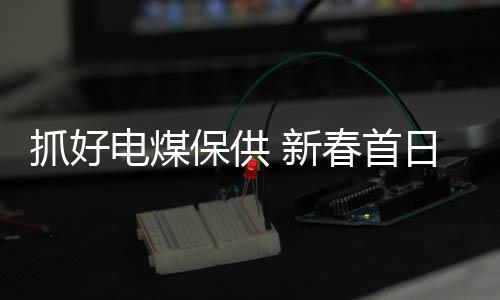 抓好電煤保供 新春首日東莞海事力保市民過暖年