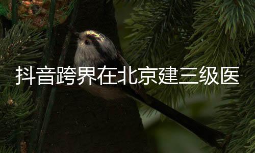 抖音跨界在北京建三級(jí)醫(yī)院已獲批復(fù) 網(wǎng)友驚嘆跨度大