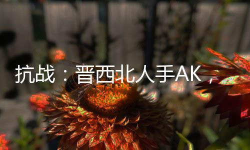抗戰(zhàn)：晉西北人手AK，光頭懵了