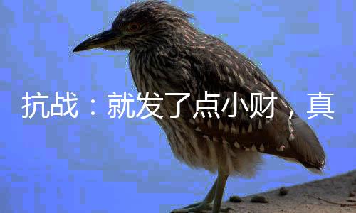 抗戰(zhàn)：就發(fā)了點(diǎn)小財(cái)，真沒建國(guó)！