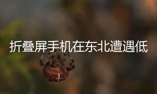 折疊屏手機(jī)在東北遭遇低溫挑戰(zhàn)，紛紛變身雪糕脆皮