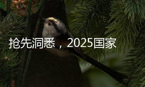 搶先洞悉，2025國家立法展望