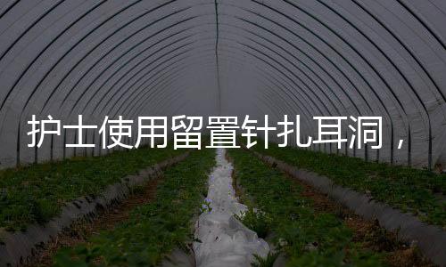護(hù)士使用留置針扎耳洞，專業(yè)護(hù)理與時(shí)尚選擇的新結(jié)合