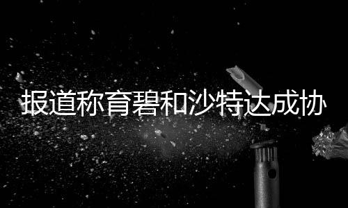 報(bào)道稱育碧和沙特達(dá)成協(xié)議開發(fā)《刺客信條：幻景》新內(nèi)容 育碧拒絕置評
