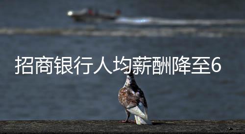 招商銀行人均薪酬降至60萬元以內，重塑行業(yè)薪酬結構探析