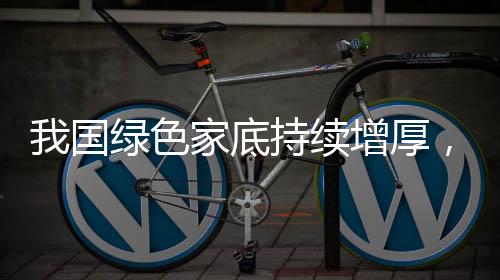 我國綠色家底持續(xù)增厚，生態(tài)建設的堅實成果與未來展望