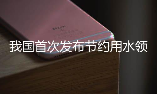 我國(guó)首次發(fā)布節(jié)約用水領(lǐng)域?qū)ｍ?xiàng)報(bào)告