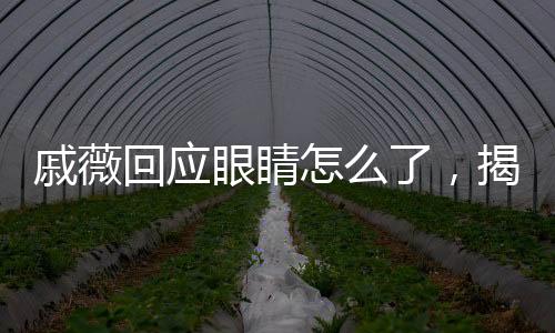 戚薇回應(yīng)眼睛怎么了，揭秘真相，展現(xiàn)自信之美